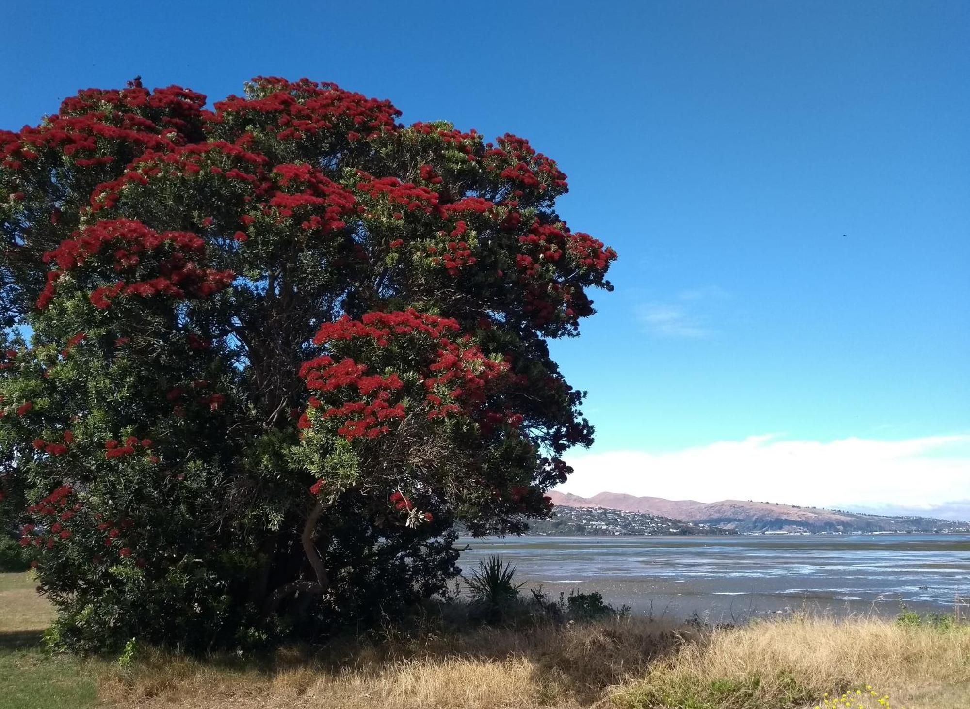 South Brighton Holiday Park Christchurch Bagian luar foto